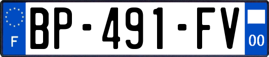 BP-491-FV