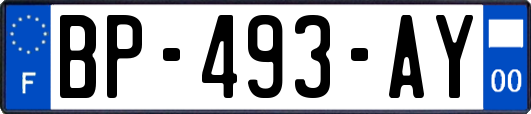 BP-493-AY