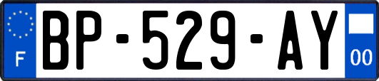 BP-529-AY