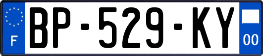 BP-529-KY