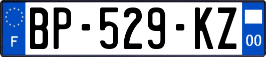 BP-529-KZ