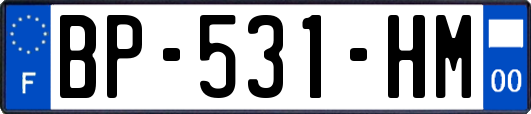 BP-531-HM