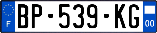 BP-539-KG