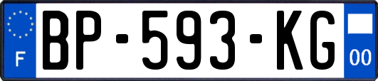 BP-593-KG