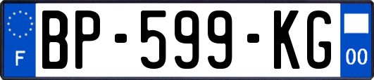 BP-599-KG
