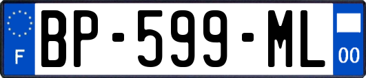 BP-599-ML