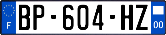 BP-604-HZ