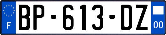 BP-613-DZ