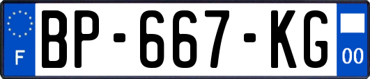 BP-667-KG
