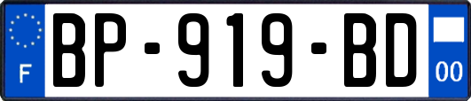 BP-919-BD