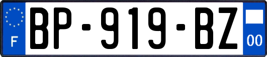 BP-919-BZ