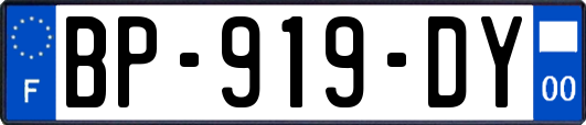 BP-919-DY