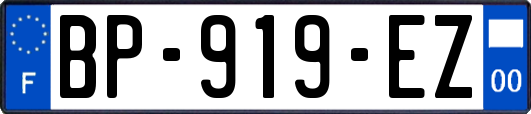 BP-919-EZ