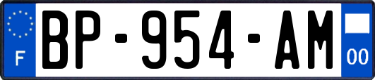 BP-954-AM