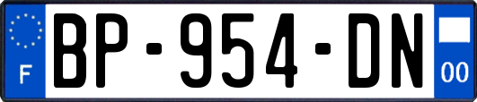 BP-954-DN