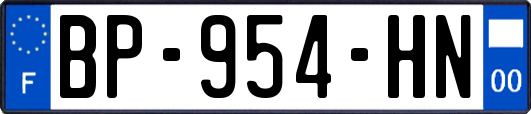 BP-954-HN