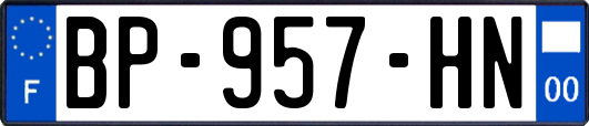 BP-957-HN