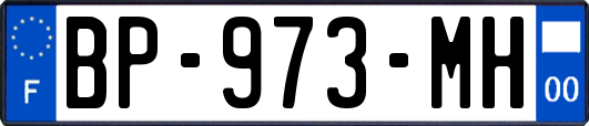 BP-973-MH