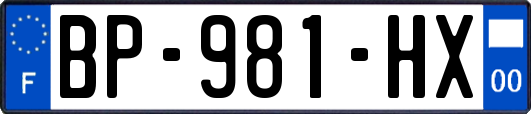 BP-981-HX