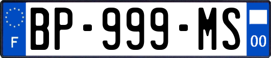 BP-999-MS