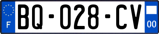 BQ-028-CV