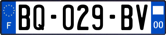 BQ-029-BV