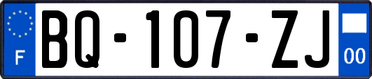 BQ-107-ZJ