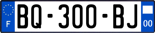 BQ-300-BJ