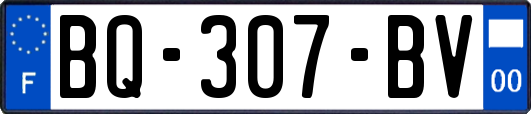 BQ-307-BV