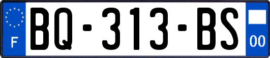 BQ-313-BS