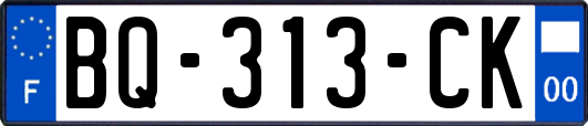 BQ-313-CK