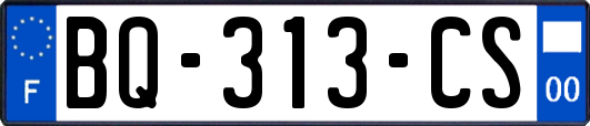 BQ-313-CS