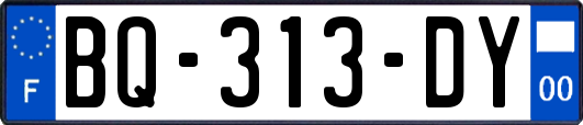 BQ-313-DY