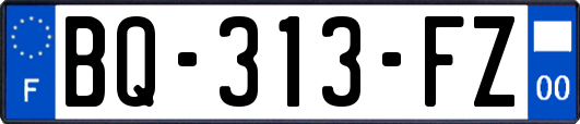 BQ-313-FZ