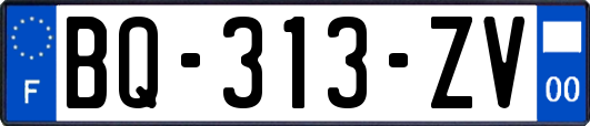 BQ-313-ZV