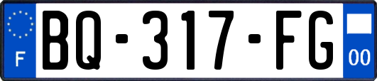 BQ-317-FG