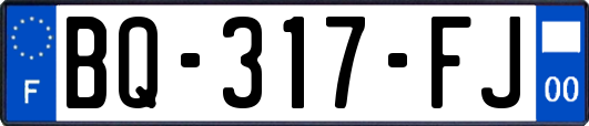 BQ-317-FJ