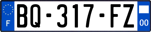 BQ-317-FZ