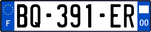 BQ-391-ER
