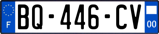 BQ-446-CV