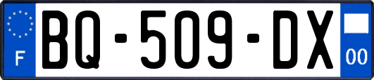 BQ-509-DX