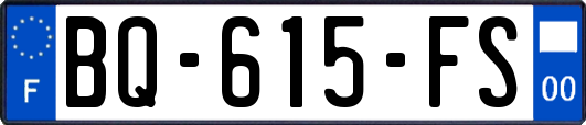 BQ-615-FS