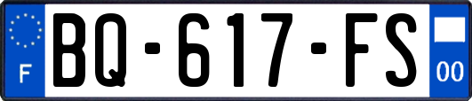 BQ-617-FS