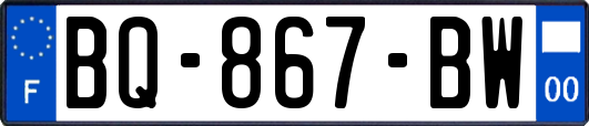 BQ-867-BW