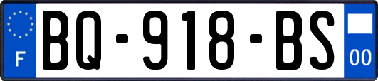 BQ-918-BS