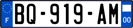 BQ-919-AM