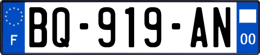 BQ-919-AN