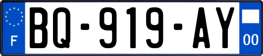 BQ-919-AY