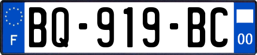 BQ-919-BC