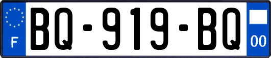 BQ-919-BQ